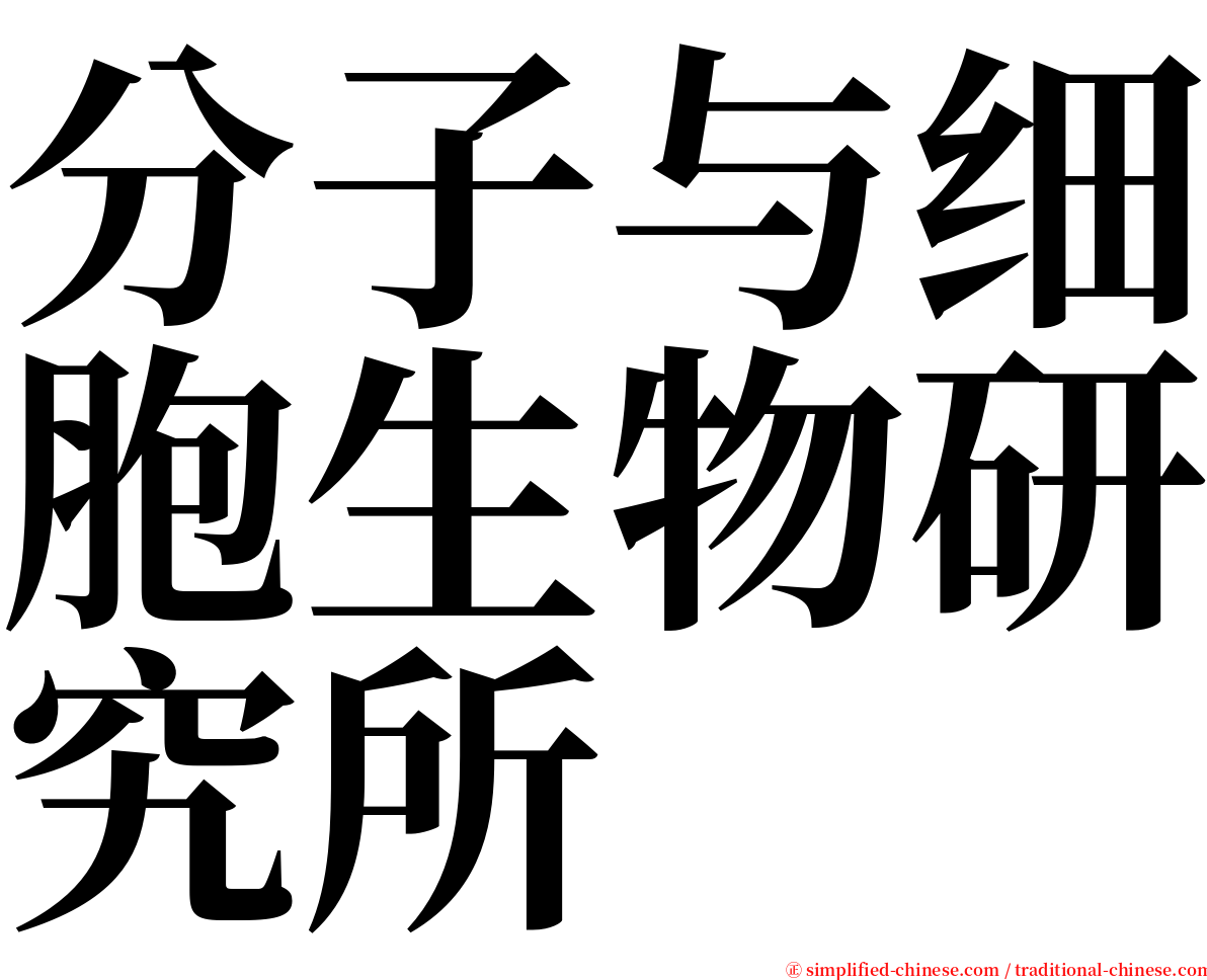 分子与细胞生物研究所 serif font