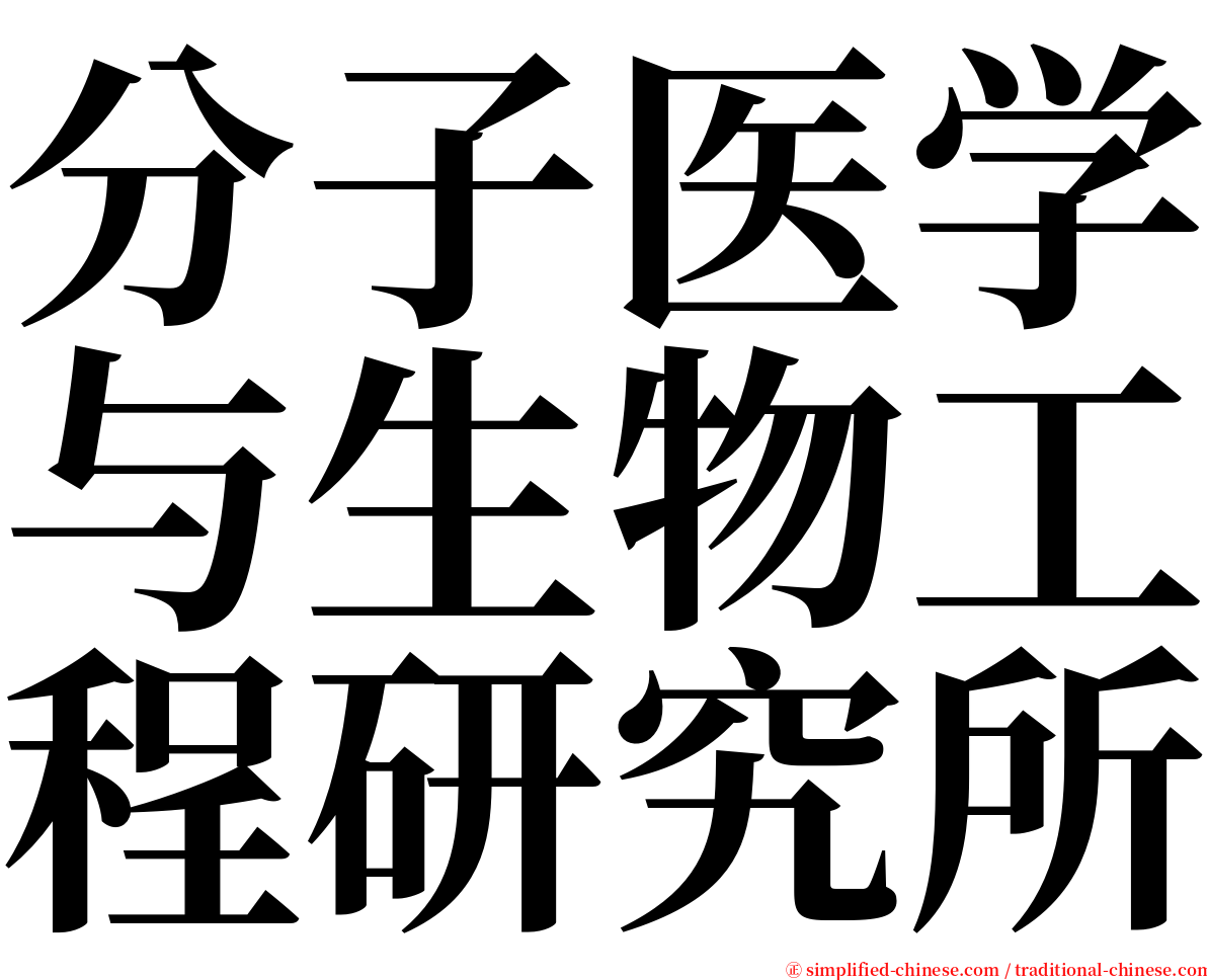 分子医学与生物工程研究所 serif font