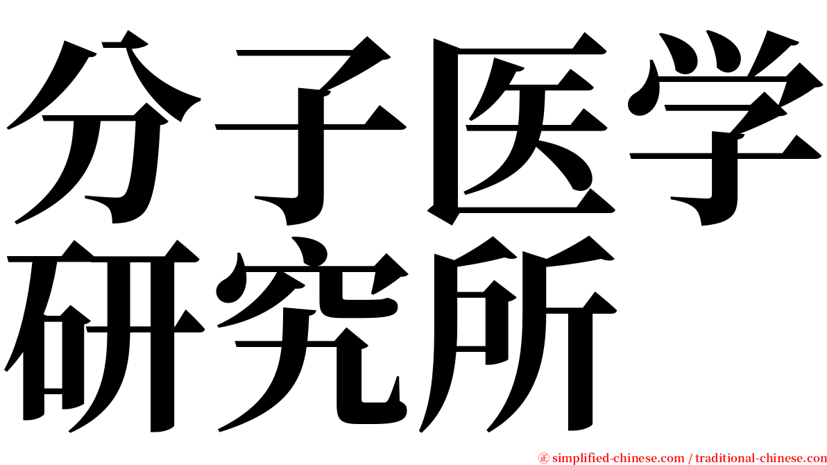 分子医学研究所 serif font