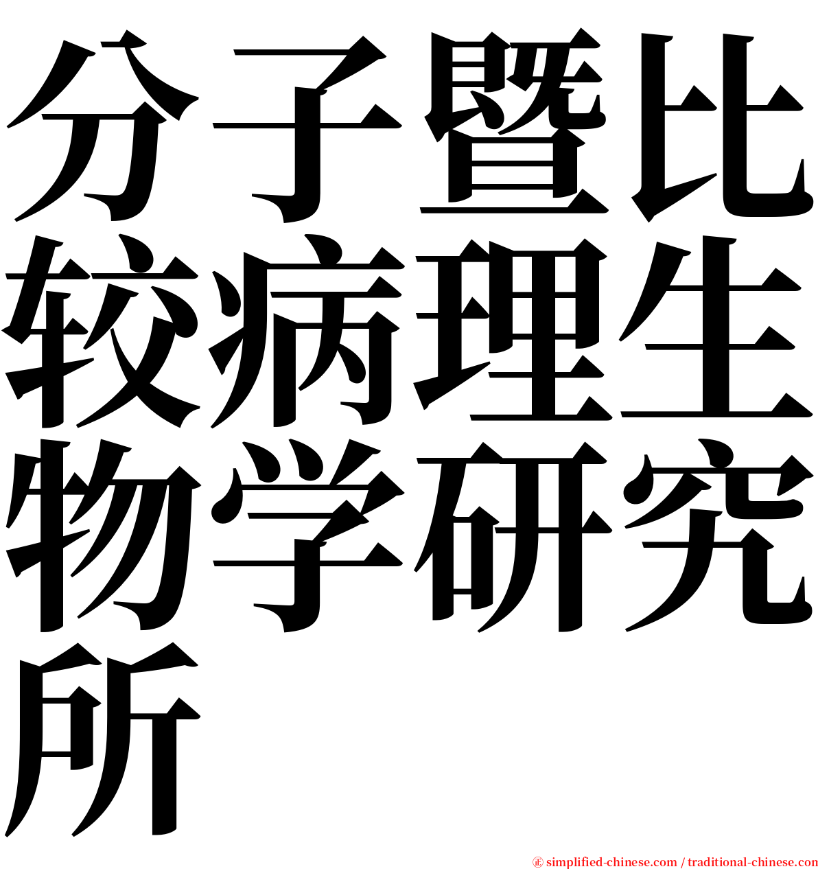 分子暨比较病理生物学研究所 serif font