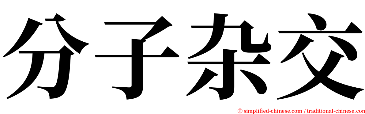 分子杂交 serif font