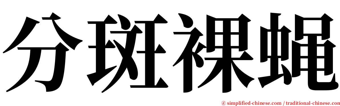 分斑裸蝇 serif font