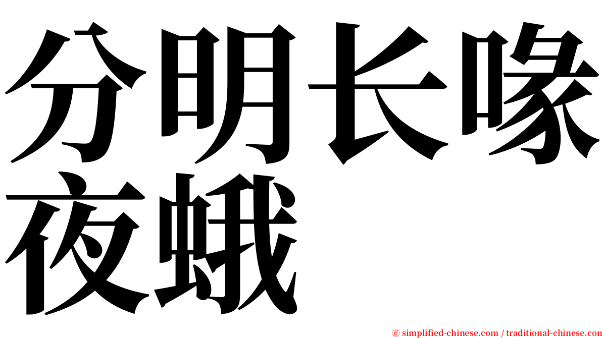 分明长喙夜蛾 serif font