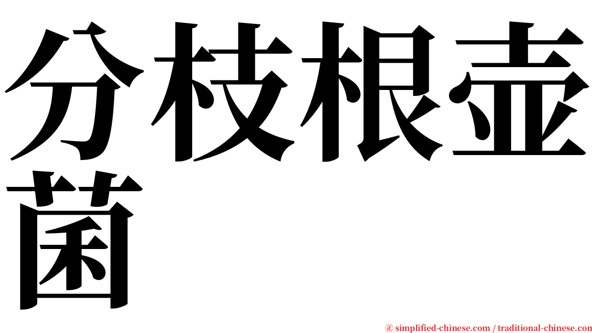 分枝根壶菌 serif font