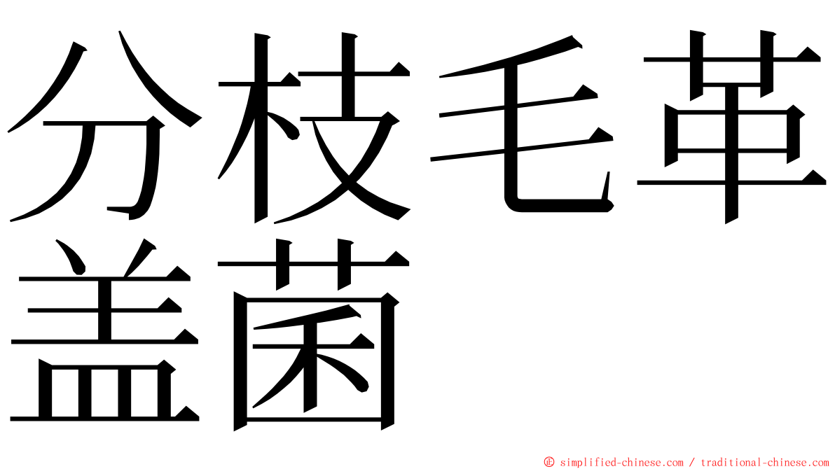 分枝毛革盖菌 ming font