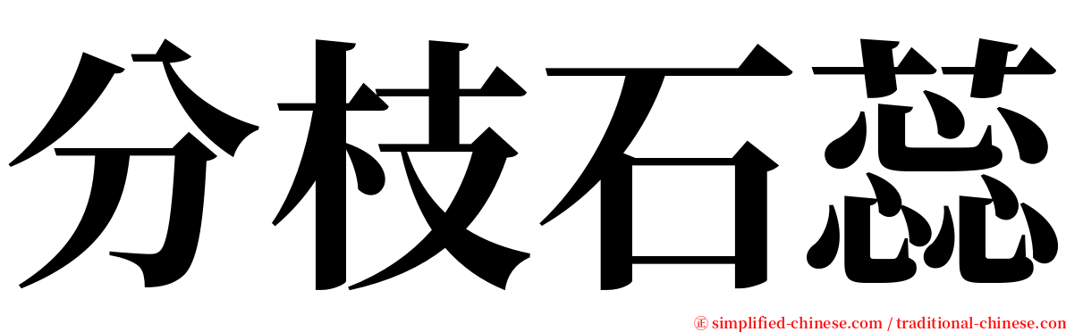 分枝石蕊 serif font