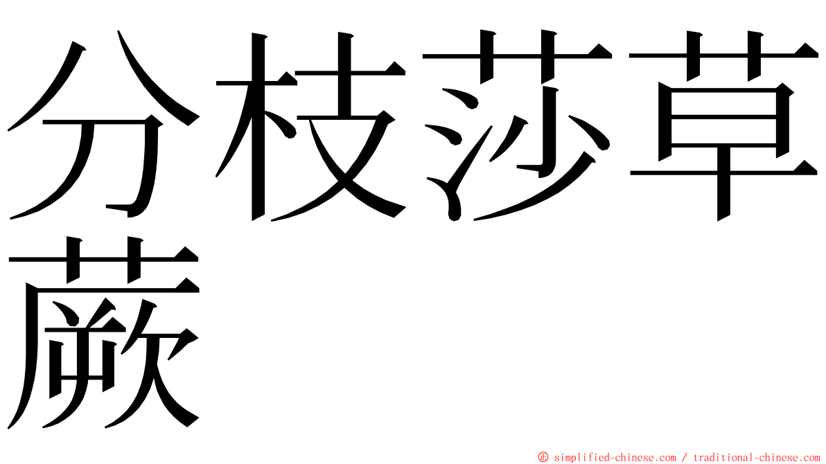 分枝莎草蕨 ming font