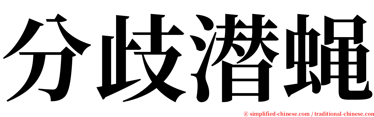 分歧潜蝇 serif font