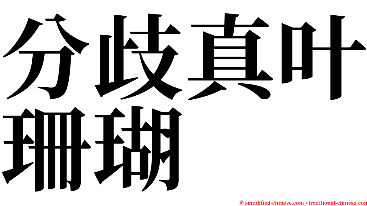 分歧真叶珊瑚 serif font