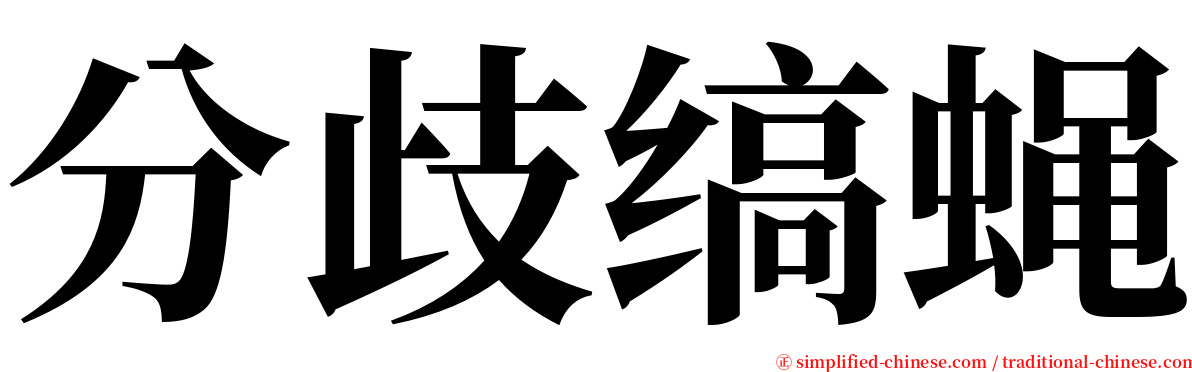 分歧缟蝇 serif font