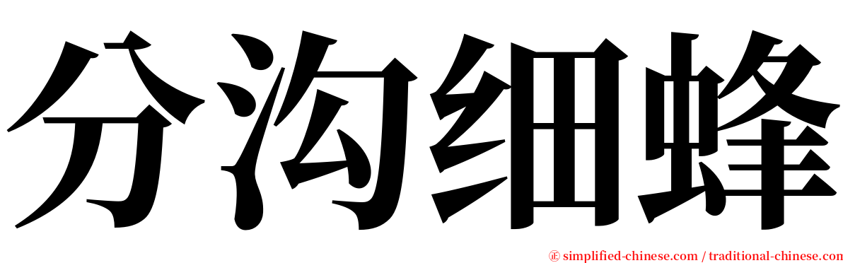 分沟细蜂 serif font