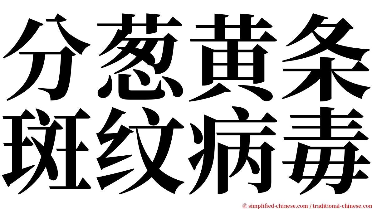 分葱黄条斑纹病毒 serif font