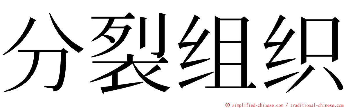 分裂组织 ming font