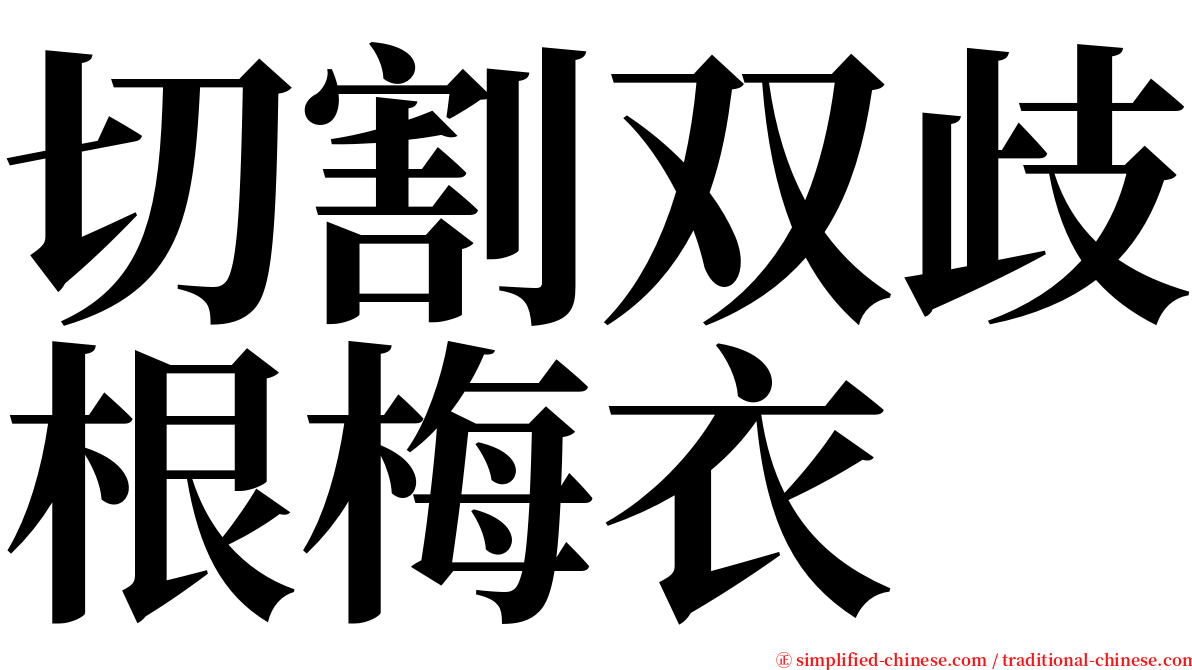 切割双歧根梅衣 serif font