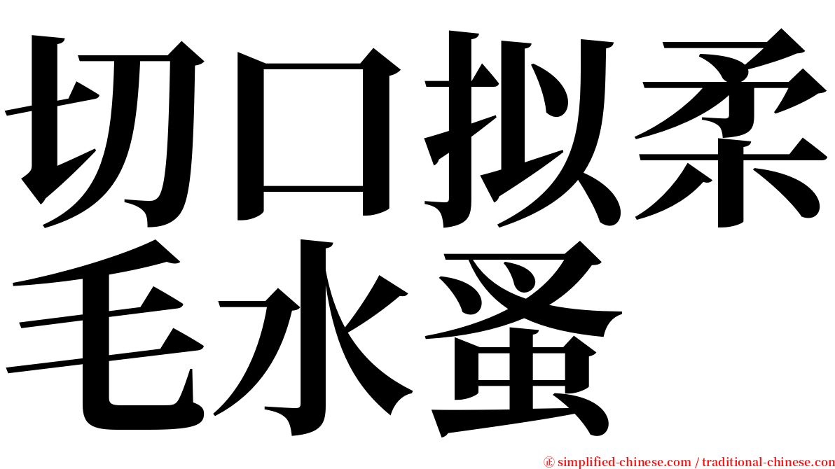 切口拟柔毛水蚤 serif font