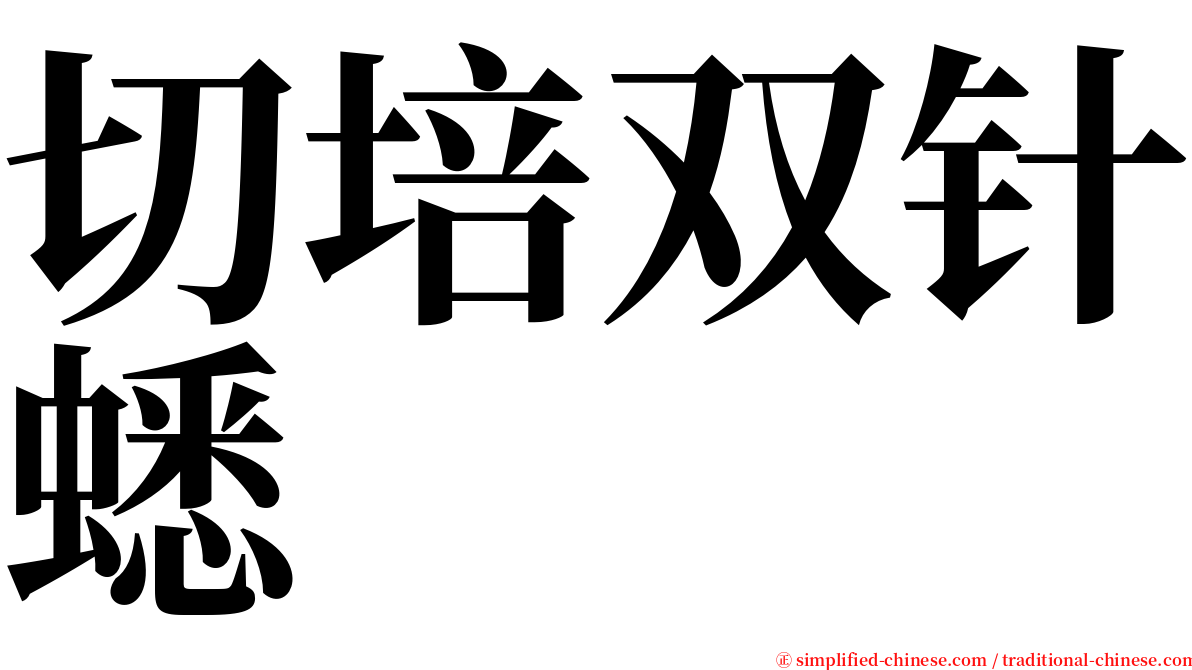 切培双针蟋 serif font