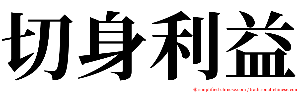 切身利益 serif font