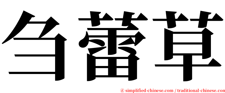 刍蕾草 serif font