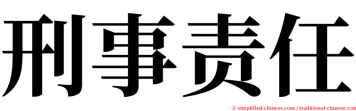 刑事责任 serif font