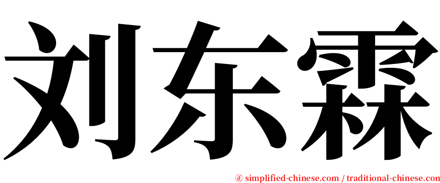 刘东霖 serif font