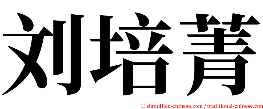 刘培菁 serif font