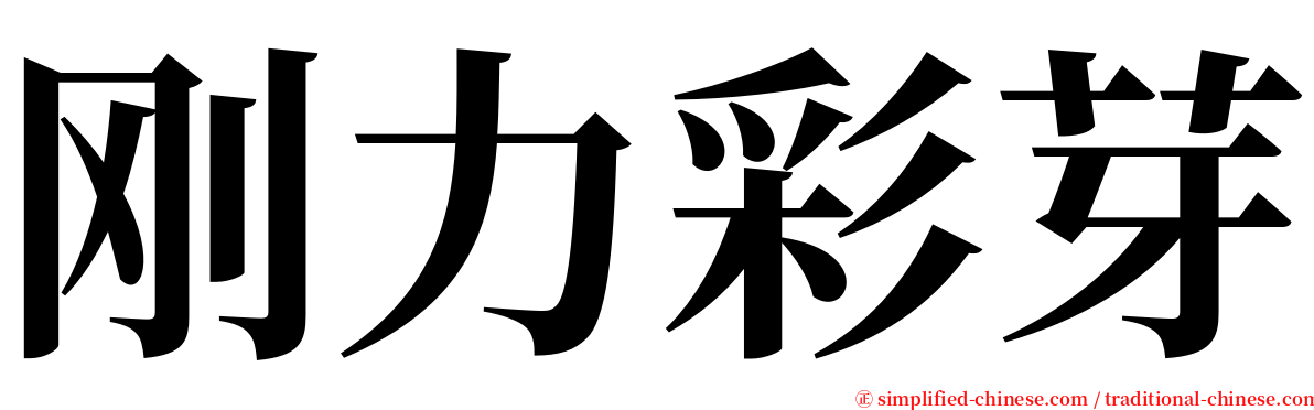 刚力彩芽 serif font