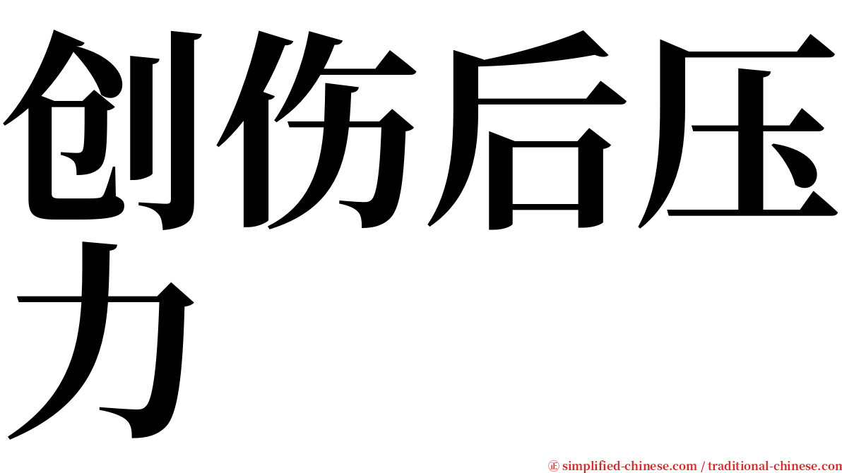 创伤后压力 serif font