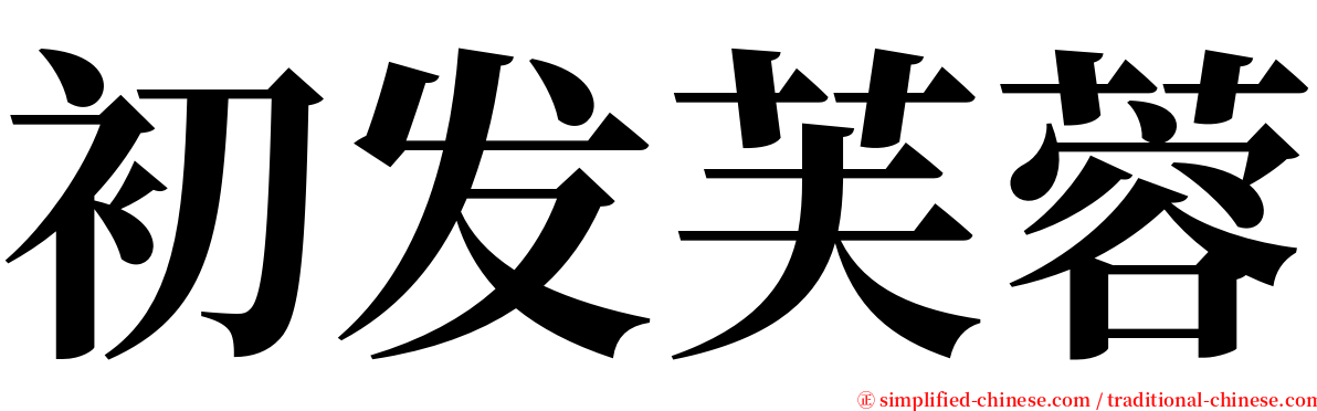 初发芙蓉 serif font