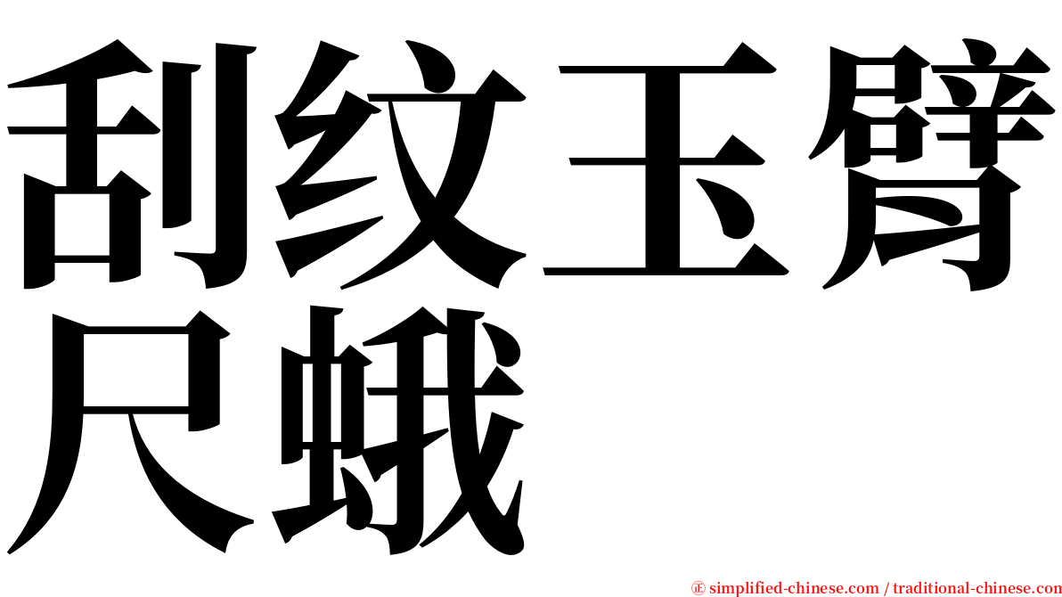 刮纹玉臂尺蛾 serif font