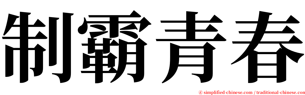 制霸青春 serif font