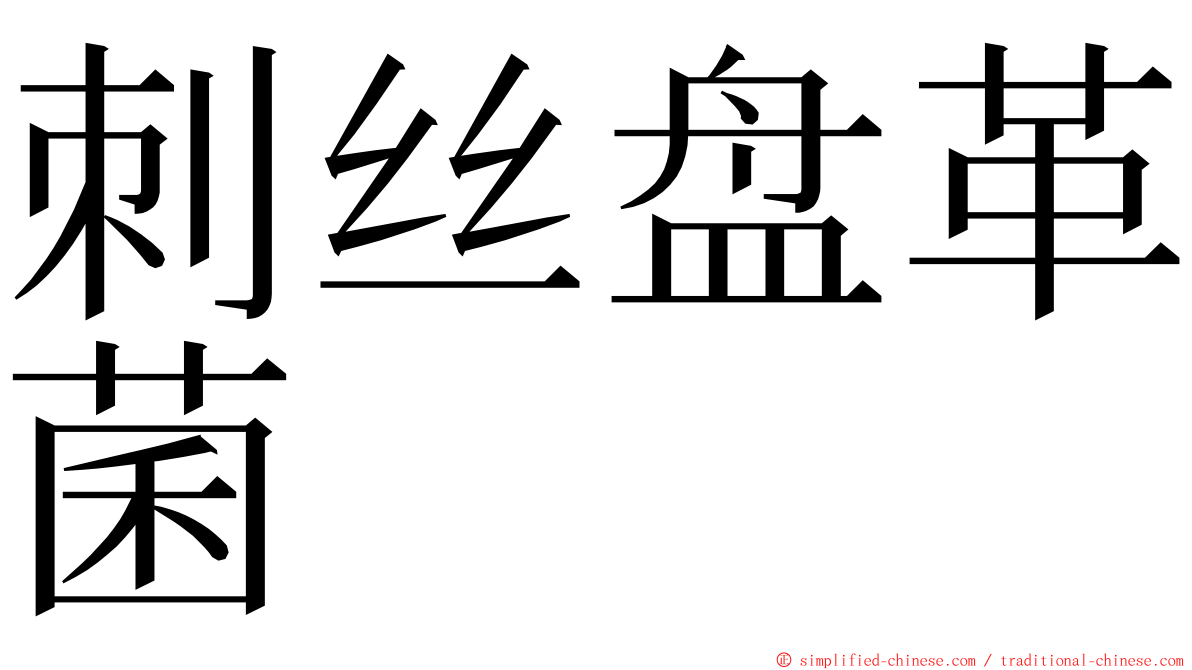 刺丝盘革菌 ming font