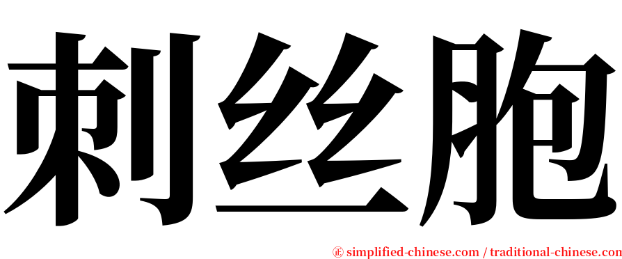 刺丝胞 serif font