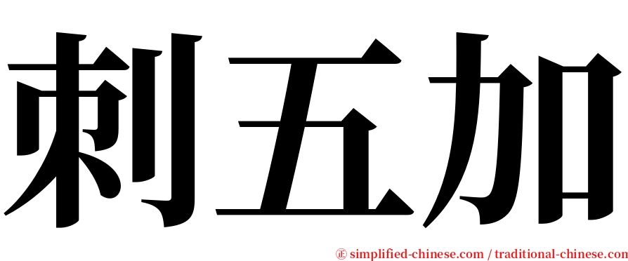 刺五加 serif font