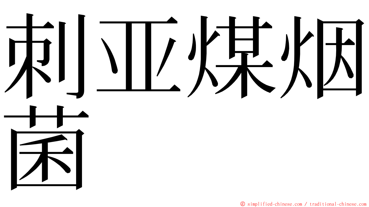 刺亚煤烟菌 ming font