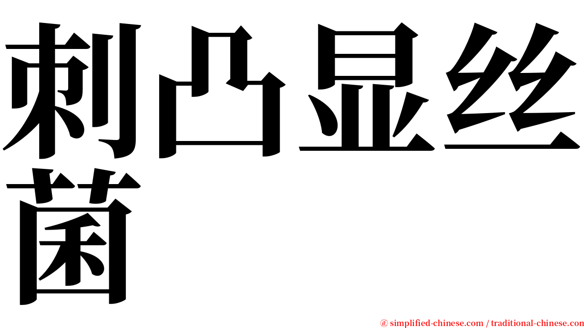 刺凸显丝菌 serif font