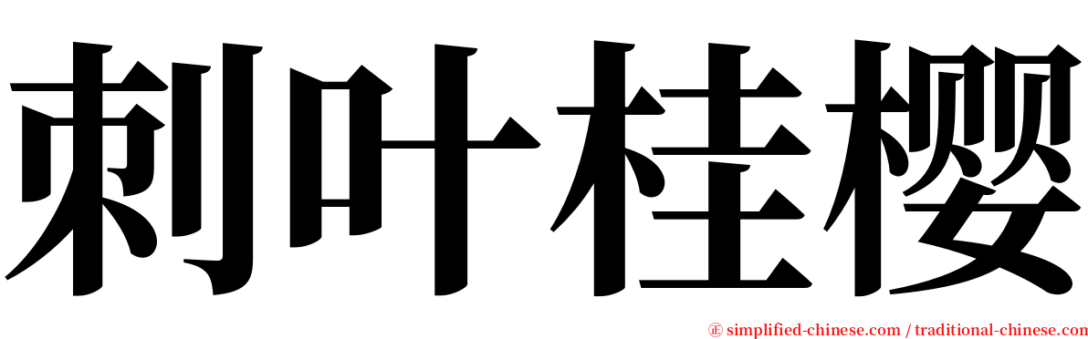 刺叶桂樱 serif font