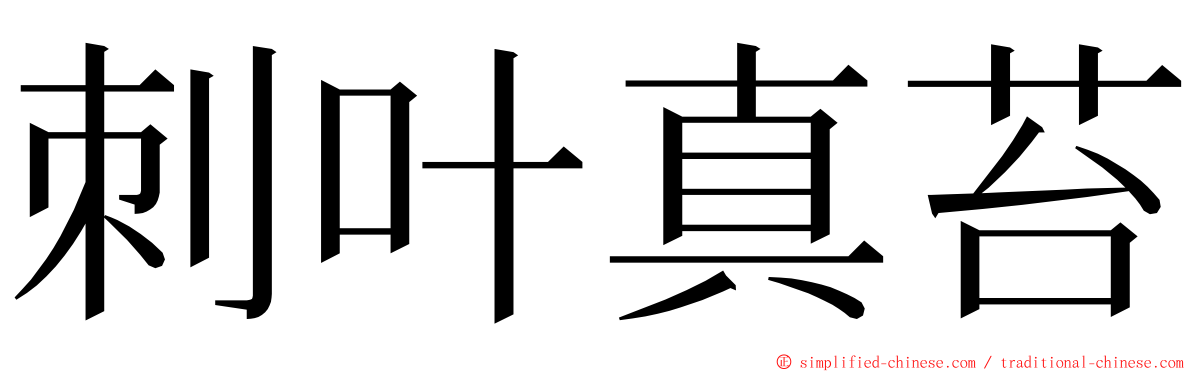 刺叶真苔 ming font