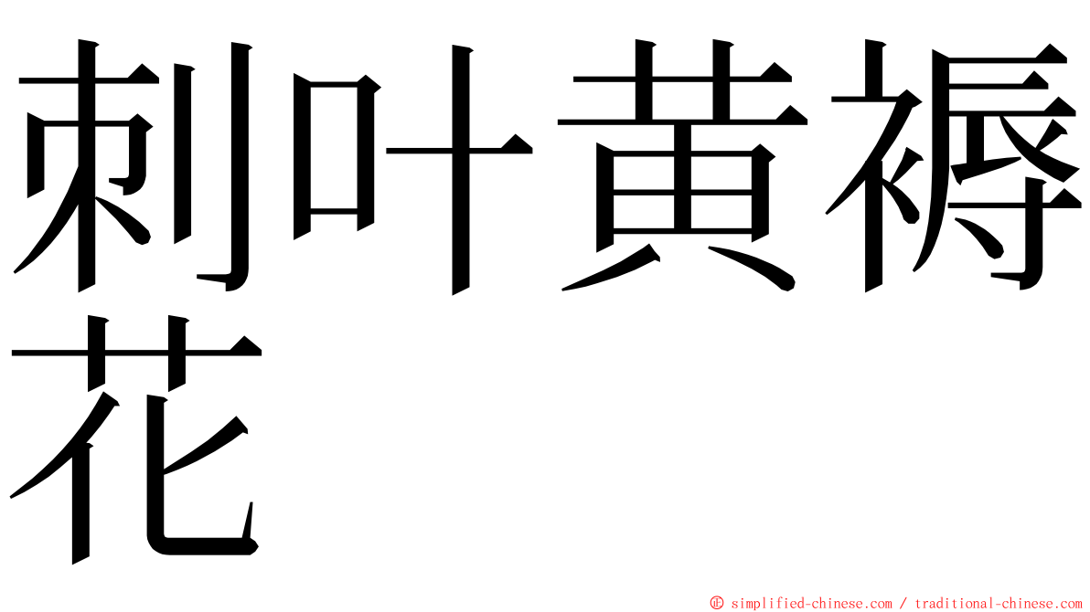 刺叶黄褥花 ming font