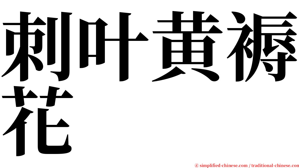 刺叶黄褥花 serif font