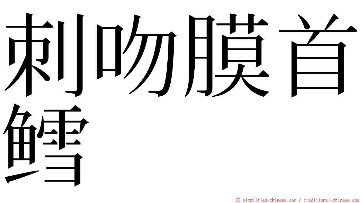 刺吻膜首鳕 ming font