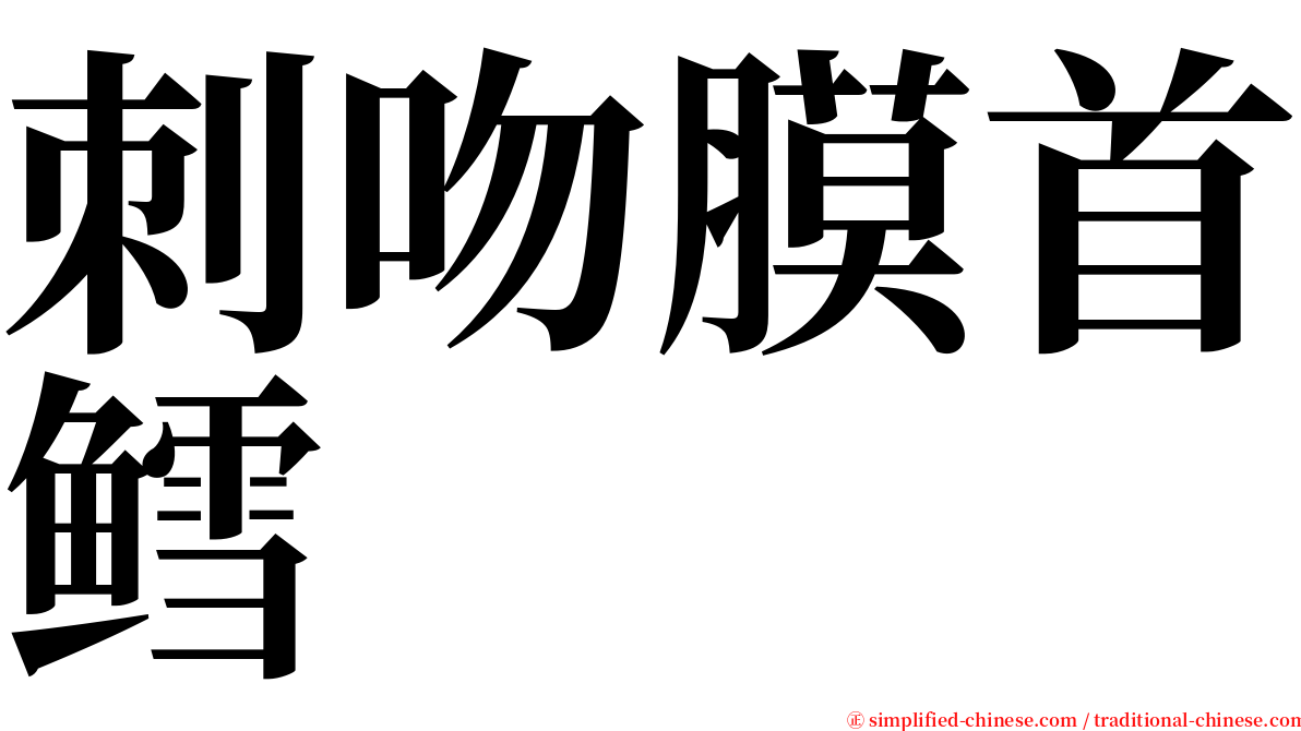 刺吻膜首鳕 serif font