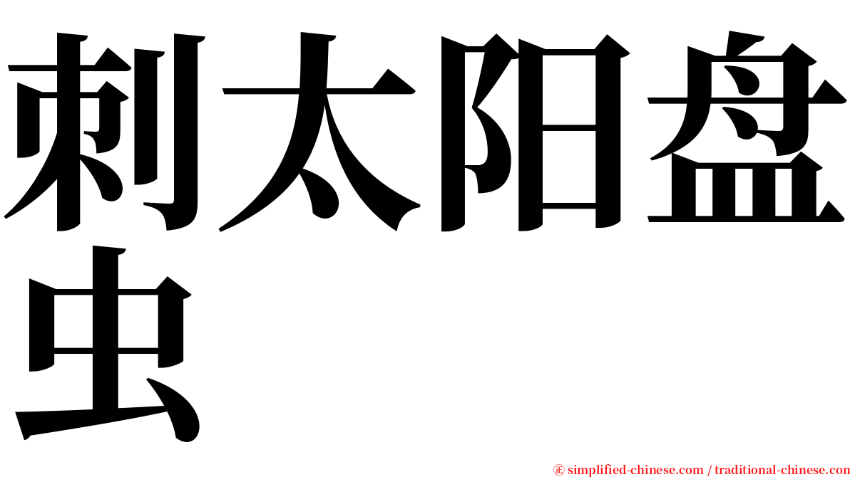 刺太阳盘虫 serif font