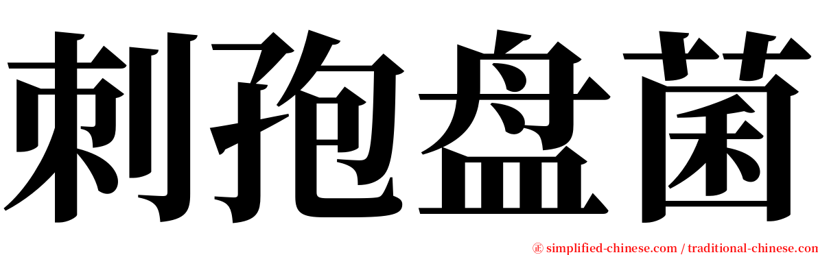 刺孢盘菌 serif font