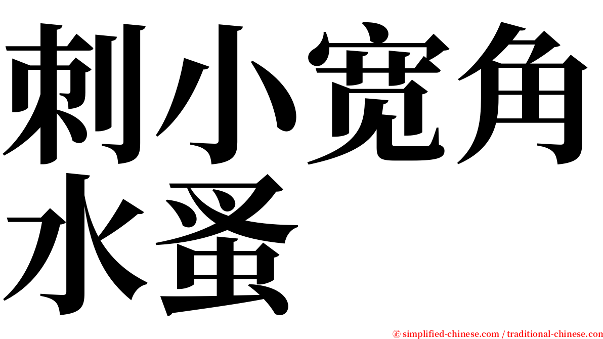 刺小宽角水蚤 serif font