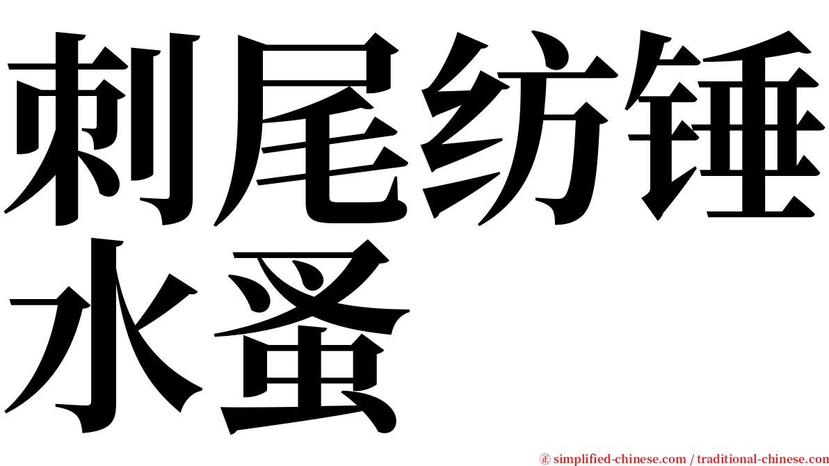 刺尾纺锤水蚤 serif font