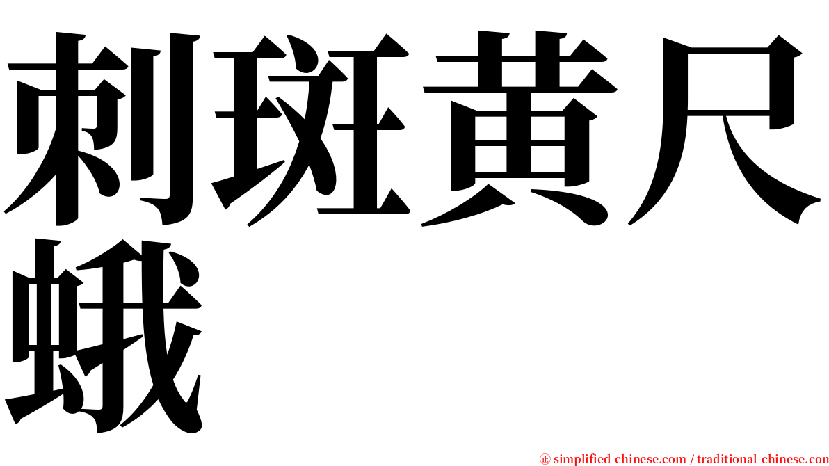 刺斑黄尺蛾 serif font