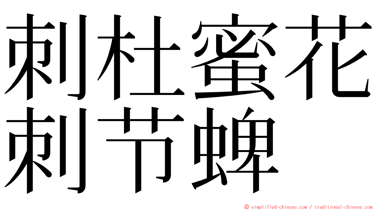 刺杜蜜花刺节蜱 ming font