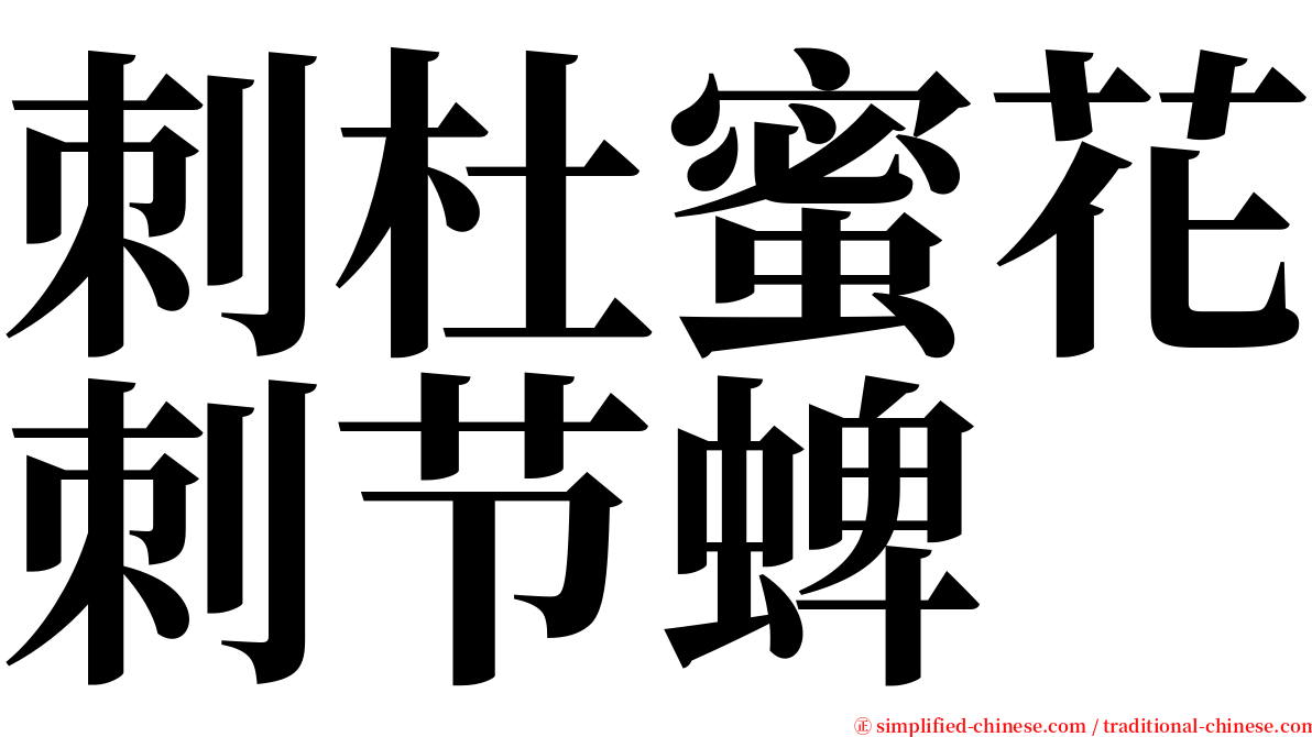 刺杜蜜花刺节蜱 serif font