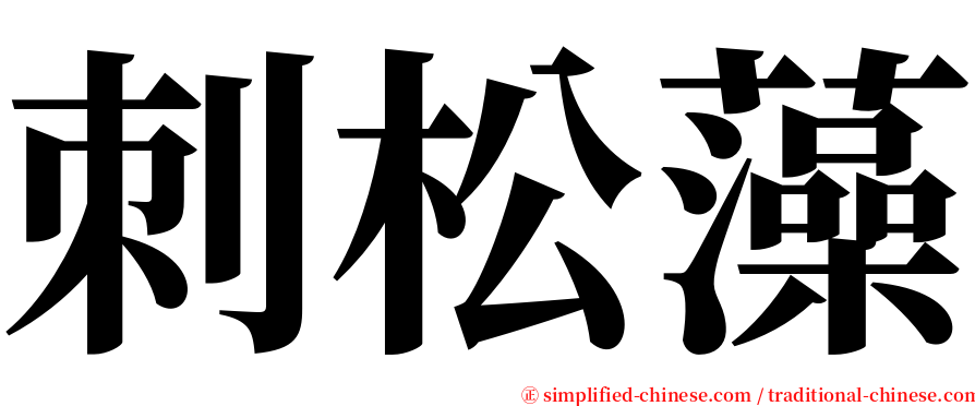 刺松藻 serif font