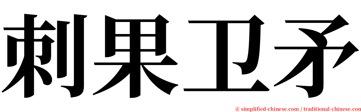 刺果卫矛 serif font